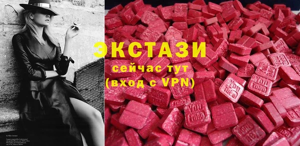 хмурый Алексин