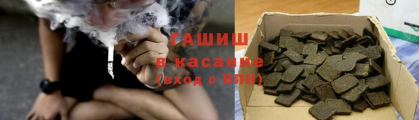 хмурый Алексин