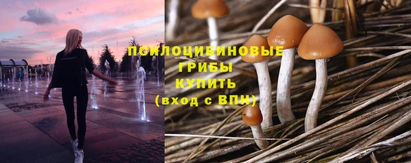 хмурый Алексин