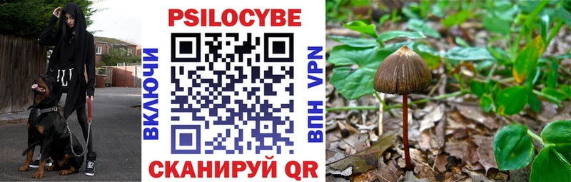 blacksprut ссылка  Уссурийск  Галлюциногенные грибы Magic Shrooms 